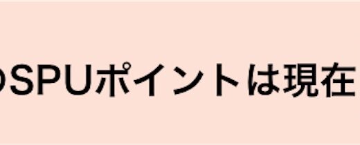 ふるさと納税で大量ポイント還元を得るテクニック（楽天ふるさと納税）